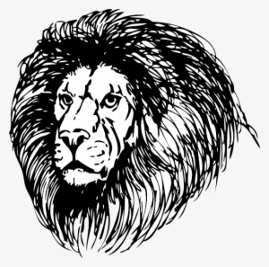 Lion Head Clipart - Black And White Lion Head Png #620319
