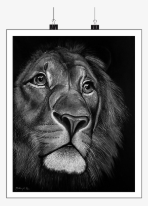 Black & White - Lion Face Painting On Canvas #620486
