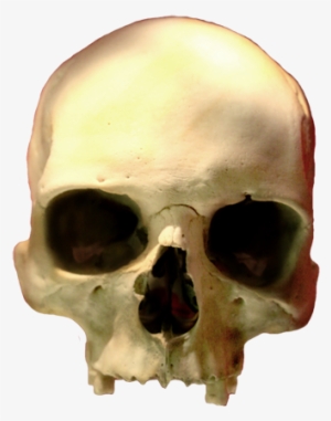 Skull Clip Art Png, Head Skull Png - Skull #620901