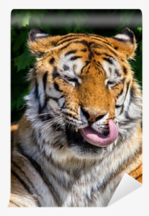 Stock Photography #621024