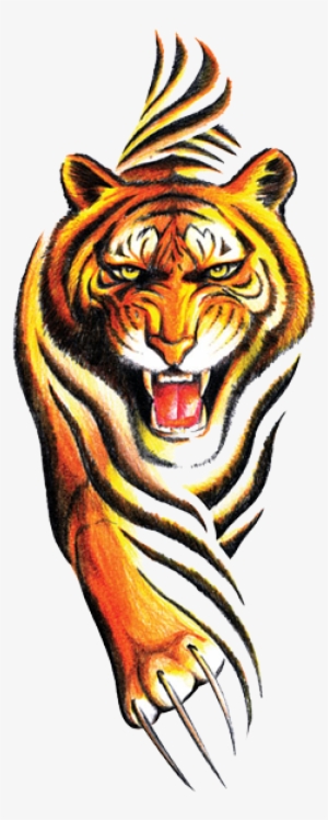 Tiger #621171