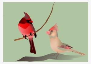 Birds In Tree Branches Of Clipart Png #621248