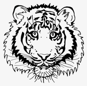 Tigerlines #621270
