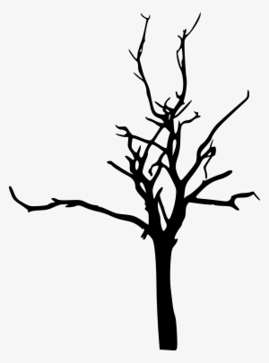 Transparent Tree - Silhouette - Free Transparent PNG Download - PNGkey