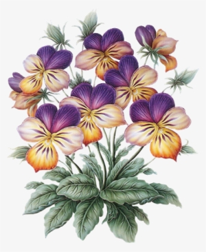 Tubes Divers Más - Flower #621500