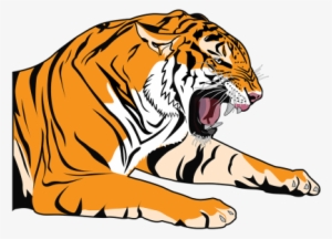 Cartoon Tiger Png Vectors Psd And Clipart For Free - Comic Cartoon Shirt Tiger Lion Wildcat Animal #621891