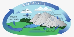 Diagram Of The Water Cycle Showing Evaporation, Condensation, - Water Cycle Process #622182