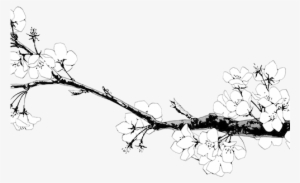 Drawn Cherry Blossom Transparent - Lan Wang Ji X Wei Wuxian #623082