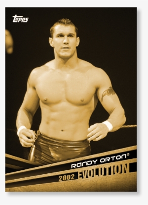 Randy Orton Png #624176