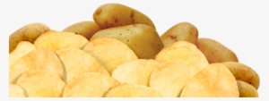 Potato Chips - Russet Burbank Potato #624432
