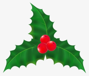 Image Library Christmas Mistletoe Transparent Clip #624672
