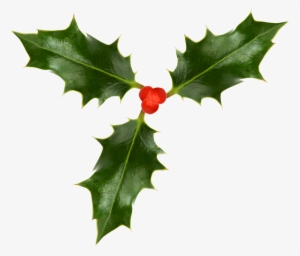 Transparent Holly Real Svg Black And White - Holly Leaf Transparent Background #625012