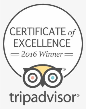 Tripadvisor Certificate Of Excellence - Circle #625723