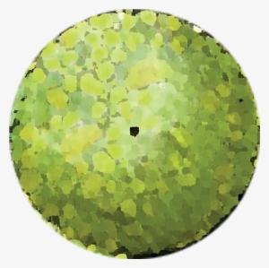 Tree Plan Png Download - Png Plan Images Of Trees #626505