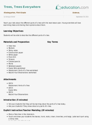 Trees, Trees Everywhere - Google Analytics Url Builder #626989