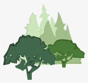 Guidelines For Developing And Evaluating Tree Ordinances - Bank #627239