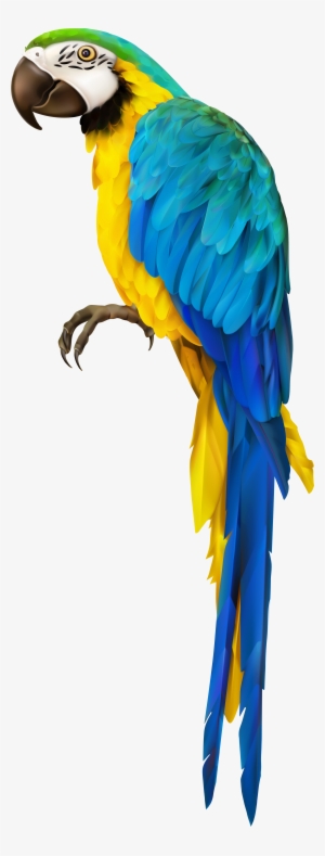 Parrot Transparent Clip Art Image - Parrot Transparent #627880