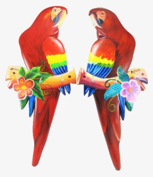 Scarlet Macaw #628228