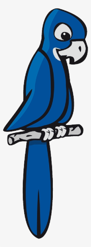 Mb Image/png - Blue Parrot Clipart #628346