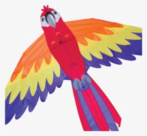 Macaw Kite - Premier Designs Macaw Kite #628408