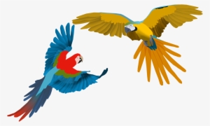 Images Of Macaw Drawing - Guacamayo Dibujo #628649