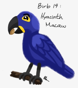 Hyacinth Macaw - Drawing #628804