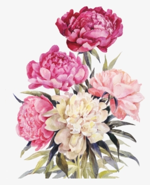 Bouquet Vector Watercolor - Free Vintage Peony Illustration #628807