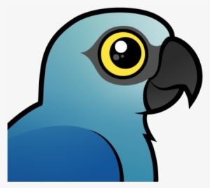 About The Spix's Macaw - Spix Macaw Clip Art #629033