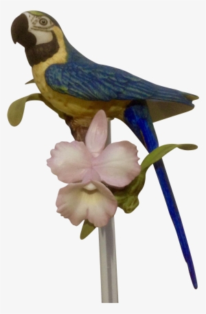 1987 Franklin Mint, Tropical Birds And Flowers Series, - Figurine #629067