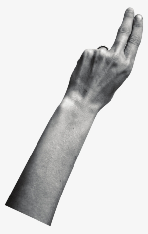 16 Feb 2009 - Wrist #629514