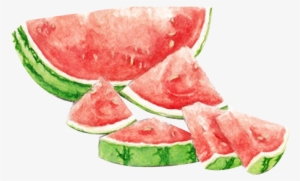 Watermelon Transparent Watercolour - Watermelon Watercolor Watercolor Summer Png #629636