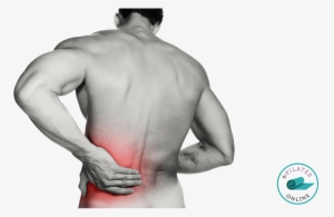 Back Pain Png Transparent Image - Healthmateforever Pro15ab Black Portable Tens Unit #629944