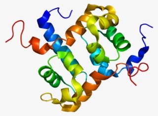 Double Helix Png #6200393 Double Helix Png #6200393