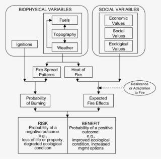Conceptual Framework For Evaluating The Risks And Benefits #6201124
