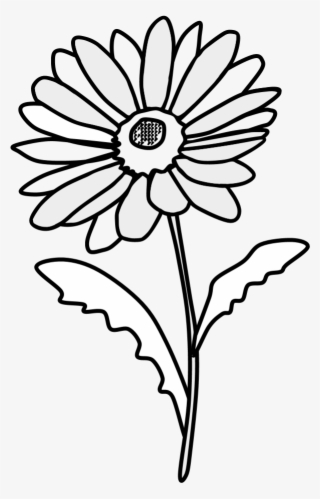 Daisy, Petals, Black And White, Png - Wall Decal #6203279