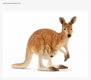 The Most Popular New Schleich Kangaroo Wild Life Action #6203348