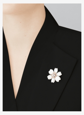 Formal Wear #6203596 Formal Wear #6203596