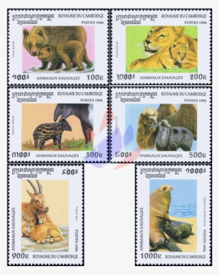 Forest Animals And Her Babies - Cambodia #6209050