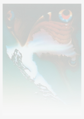 Plitvice Lakes National Park #6210520