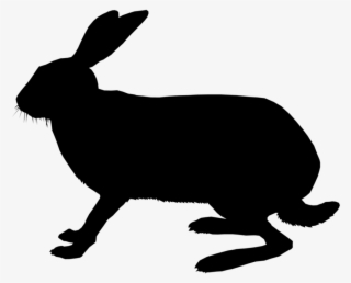 Domestic Rabbit Clipart Domestic Rabbit Hare Whiskers - Clip Art #6212147 Domestic Rabbit Clipart Domestic Rabbit Hare Whiskers - Clip Art #6212147