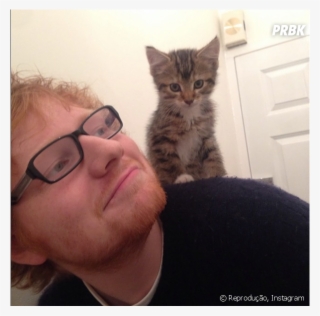Ed Sheeran É Apaixonado Por Gatos E Vive Compartilhando - Ed Sheeran Love Cats #6213504