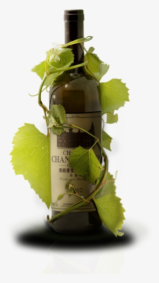 Red Poster Grapes Material Transprent Png Free - Red Wine #6214651