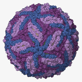Computer-generated Model Of The Zika Virus Capsid - Zika Virus #6214712