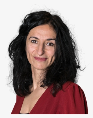 The Harassment Of Sam Dastyari Is Something We Recognise - Annika Nordgren Christensen #6218450