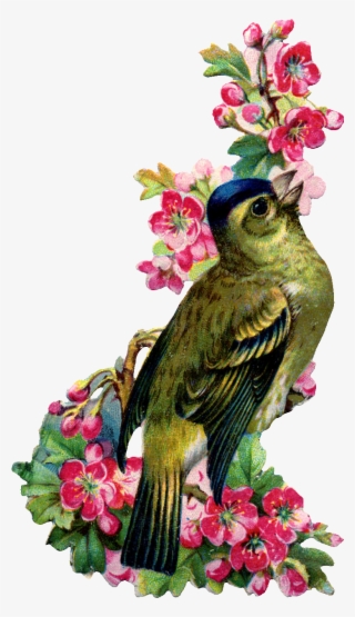 A Couple Of Vintage Images For Todaythe Bird And Flowers - Mothers Day To Cousin #6219679