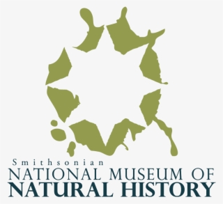 While The Logo Is Only Loosely Based On Grunge And - Graphic Design #6226722