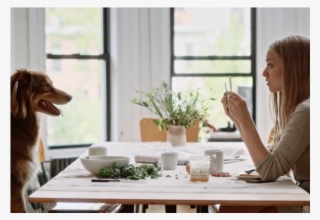 Icône Utilisée Pour Voir Le Video - Amanda Seyfried Vogue Finn #6227064