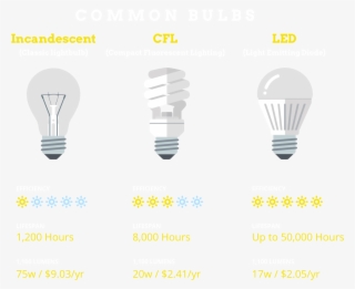 Today's Led Bulbs Can Be 67x More Energy Efficient - Compact Fluorescent Lamp #6227188