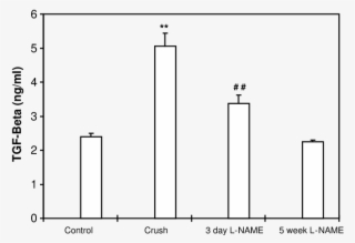 Tgf B Concentrations In Tendon Organ Cultures From - Diagram #6227408
