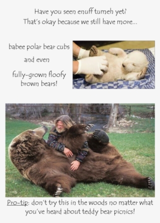 13 - Baby Polar Bear #6229182